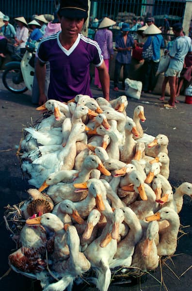 Saigon