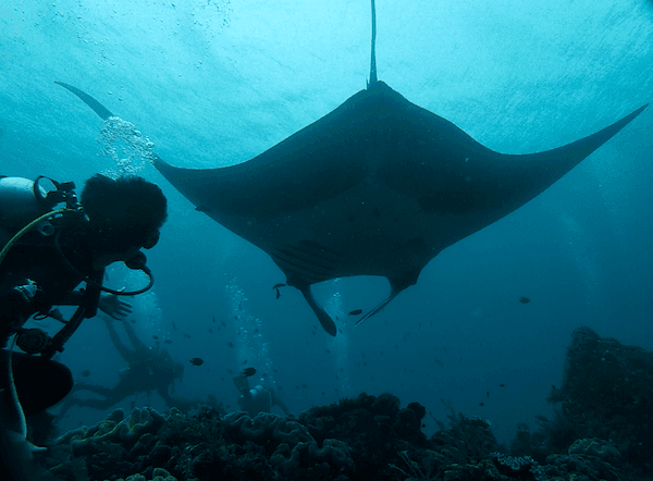 Raja Ampat